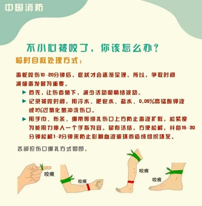子”死亡记录：曾诊断为不明生物咬伤(神经