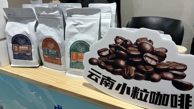 心共振兴丽江好物“空降”杨浦麻将胡了2模拟器试玩沪滇同(图4)