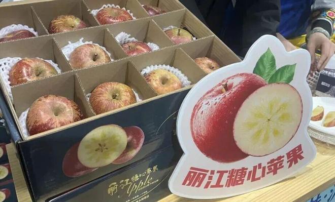 心共振兴丽江好物“空降”杨浦麻将胡了2模拟器试玩沪滇同(图3)