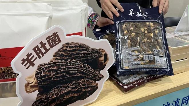 心共振兴丽江好物“空降”杨浦麻将胡了2模拟器试玩沪滇同(图2)