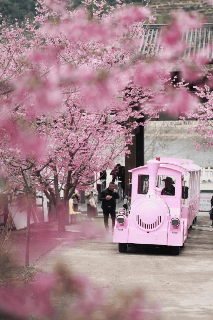 过大宋年 新春游玩攻略来了!麻将胡了模拟器试玩来楠溪江(图16) 过大宋年 新春游玩攻略来了!麻将胡了模拟器试玩来楠溪江(图16)